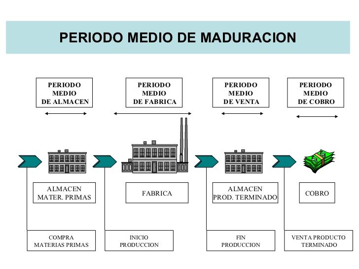 PERIODO MEDIO DE MADURACION1